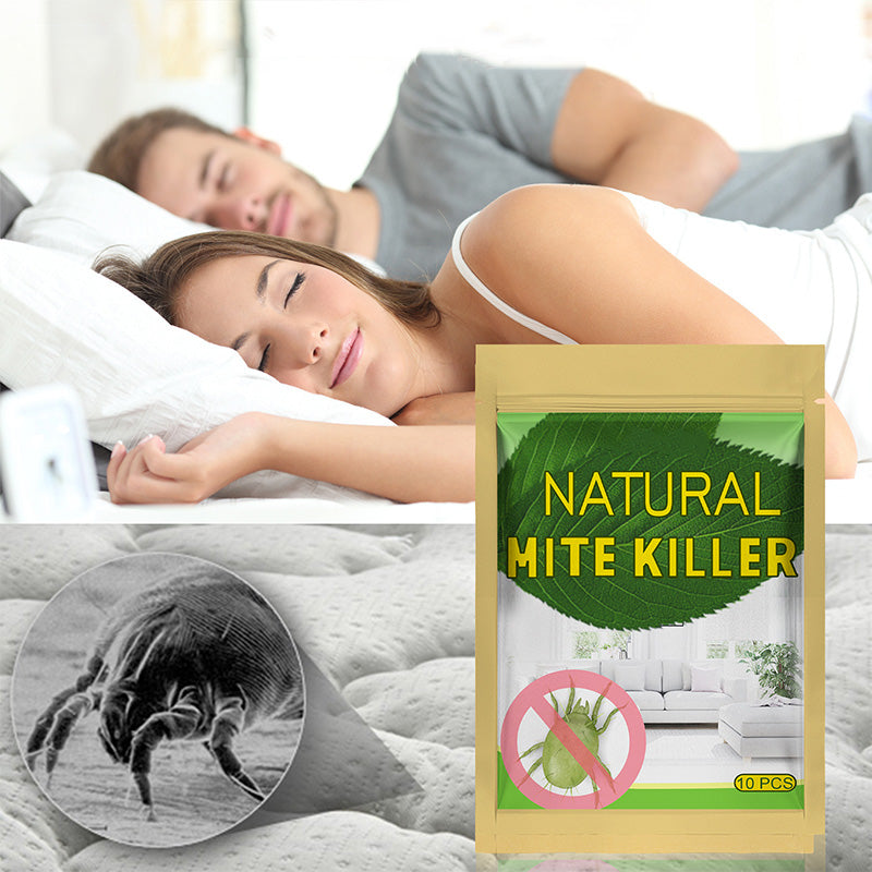 A couple sleeping comfortably with natural mite control protection